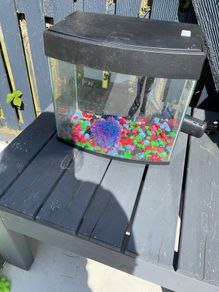 Fishtank