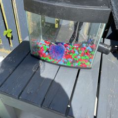 Fishtank