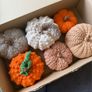 Box of crochet colourful pumpkins Image 2