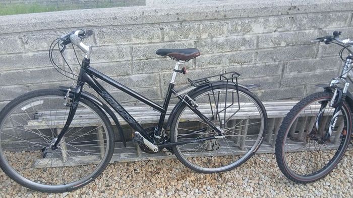Ladys Bike