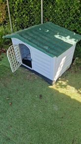 large Dog box