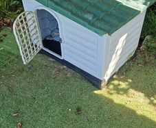 large Dog box