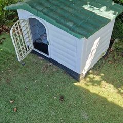 large Dog box