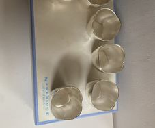 newbridge tulip napkin  holders set of six