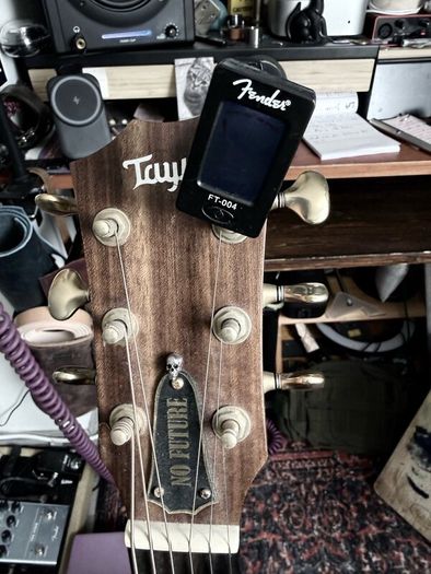 Acoustics guitar