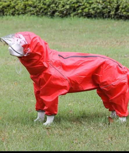 Big Dog raincoat