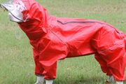 Big Dog raincoat
