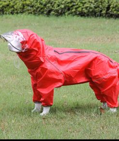 Big Dog raincoat