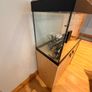 Fish Tank / Aquarium Image 2