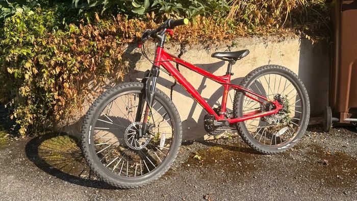 Carrera Blast Junior Mountain Bike 24
