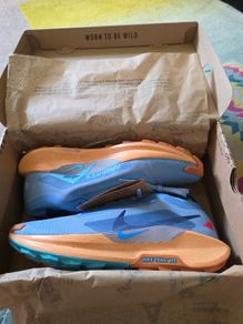 Nike pegasus GORE-TEX Runners