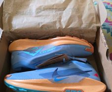 Nike pegasus GORE-TEX Runners