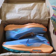 Nike pegasus GORE-TEX Runners