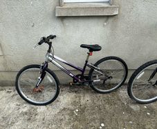 bikes