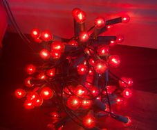 2 set of Christmas Berry string lights