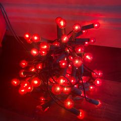 2 set of Christmas Berry string lights