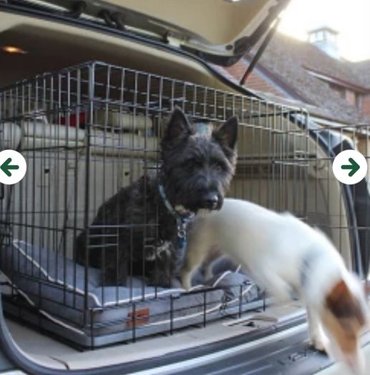 30" foldable dog crate