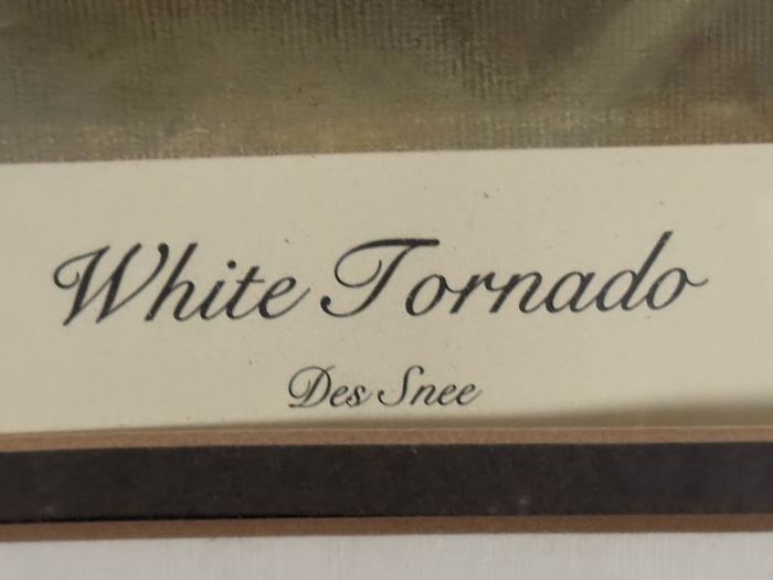 Des Snee Signed Limited Edition Print - "White Tornado" (Desert Orchid, 1989) - 73 x 65 cm