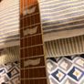 Esp Ltd Ec-256 (emg Jh, Gotoh tuners) Image 5