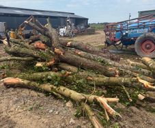 Firewood for sale