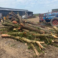 Firewood for sale