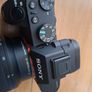 Sony Alpha A7 11 + Sony FE 28-70mm F3.5-5.6 OSS Image 5
