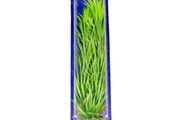 Aqua Nova Artificial Plant 40cm NP-40 40044
