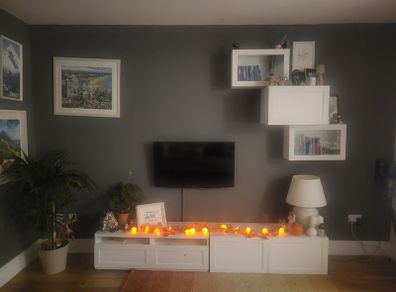 Display and storage unit
