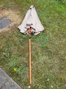 Parasol
