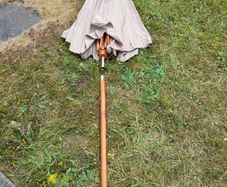 Parasol