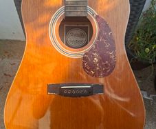 Vintage 1980's Hondo Dreadnought Acoustic