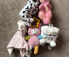 teddies