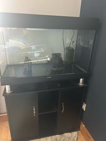 Fish tank 120L