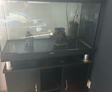 Fish tank 120L