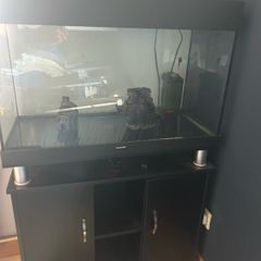 Fish tank 120L