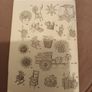 art and craft children's book for clothes peg crafts Image 2