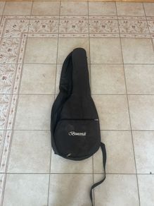 Brunswick mandola case