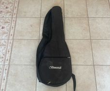 Brunswick mandola case