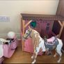 Our Generation horse Image 2