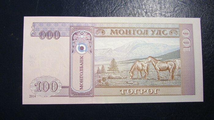 Mongolia 2014.100 Tugrik.Uncirculated Banknote.