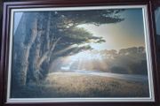 large framed William Vanscoy print