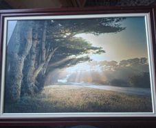large framed William Vanscoy print