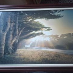 large framed William Vanscoy print