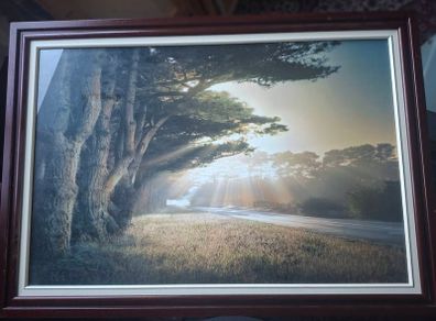 large framed William Vanscoy print