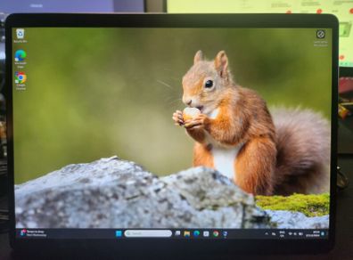Microsoft Surface Pro X (SQ1)
