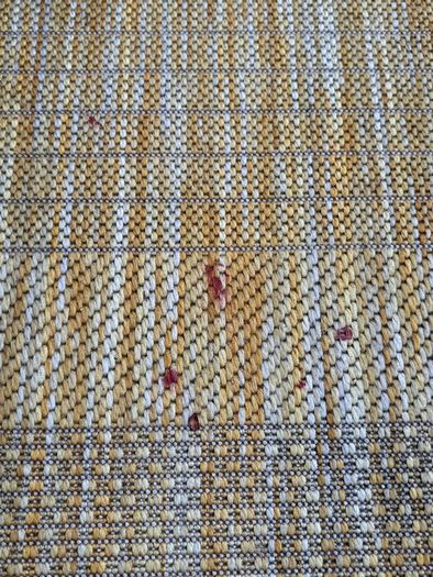 Outdoor Rug
