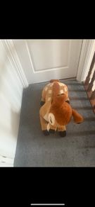 Toy