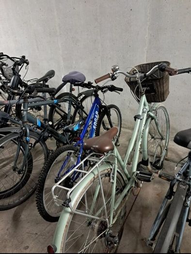 Raleigh for sales