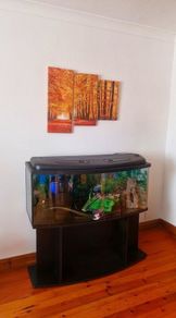 Fish tank