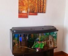 Fish tank